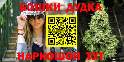 гидра Брянск